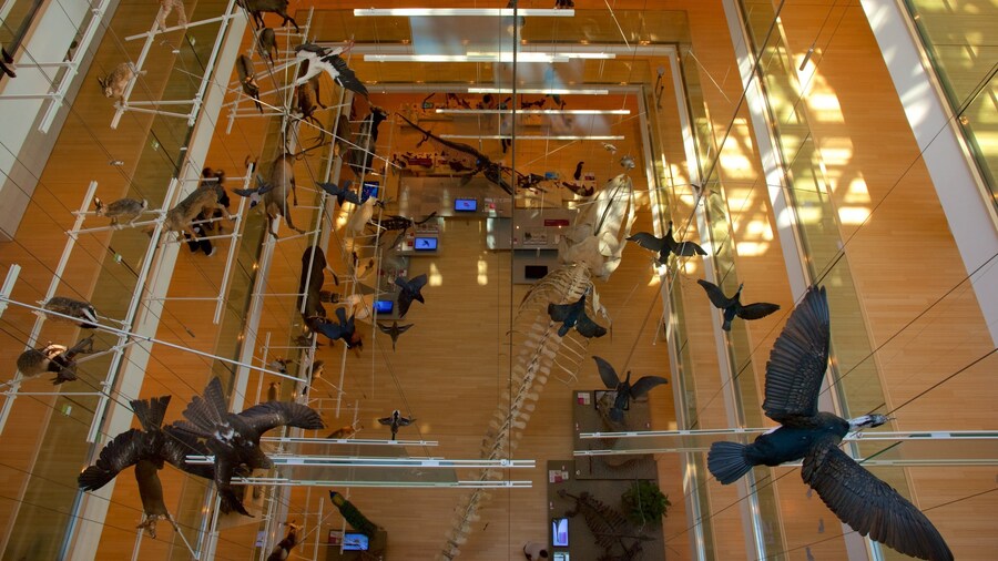 Tridentino 自然科學博物館 设有 鳥禽動物 和 內部景觀