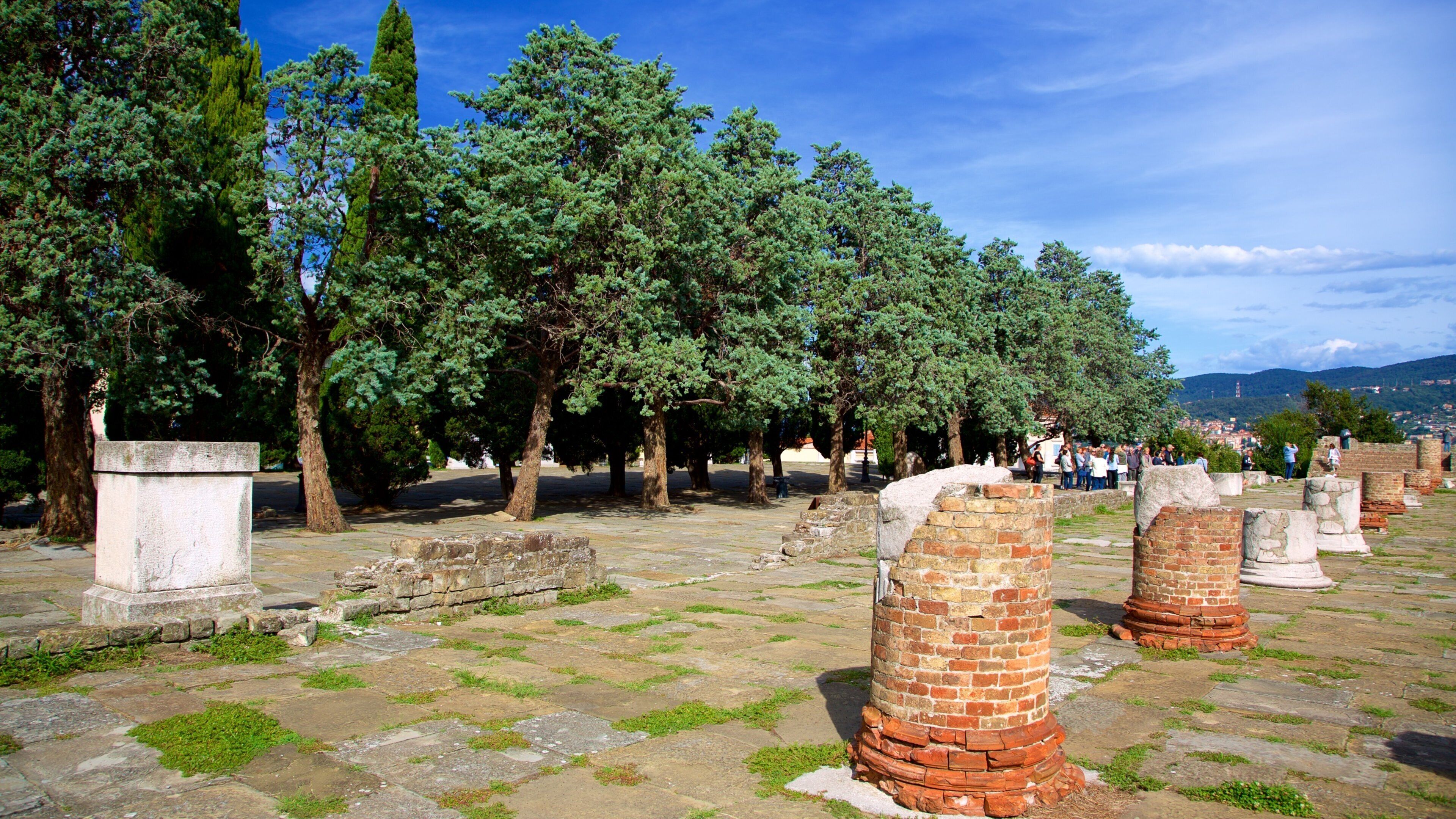 Castello di San Giusto showing a ruin