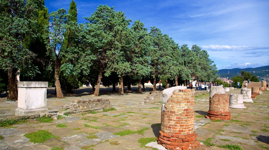 Castello di San Giusto showing a ruin