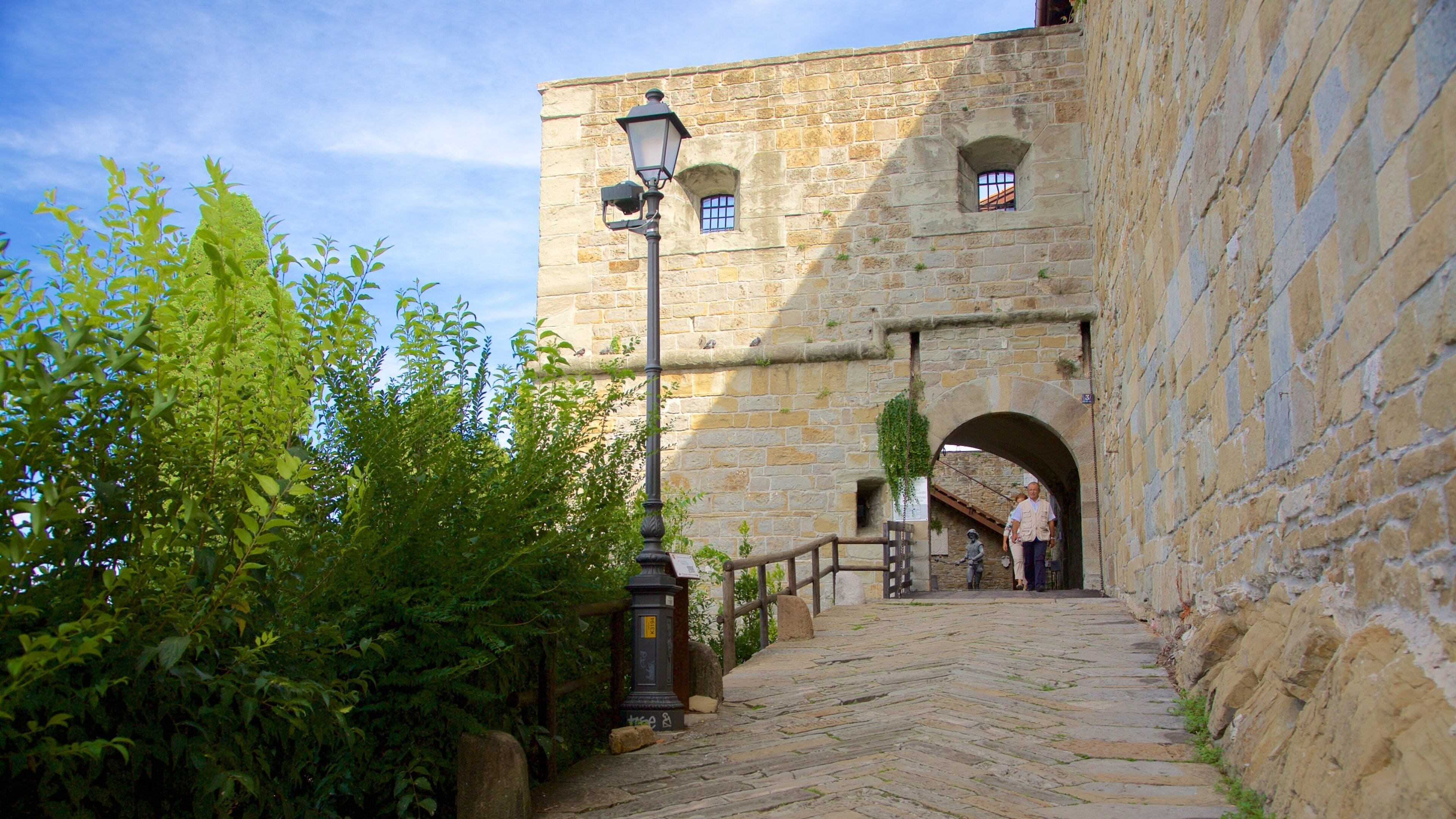 Castello di San Giusto showing heritage architecture