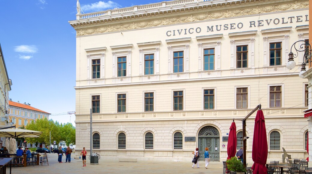 Museo Revoltella featuring an administrative building and heritage architecture