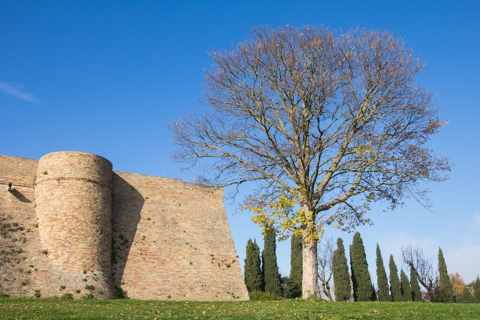 Un muro de ladrillos y un árbol sin hojas en un campo cubierto de hierba.