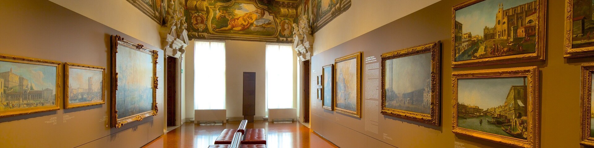 Gallerie di Palazzo Leoni Montanari mostrando arte e vistas internas