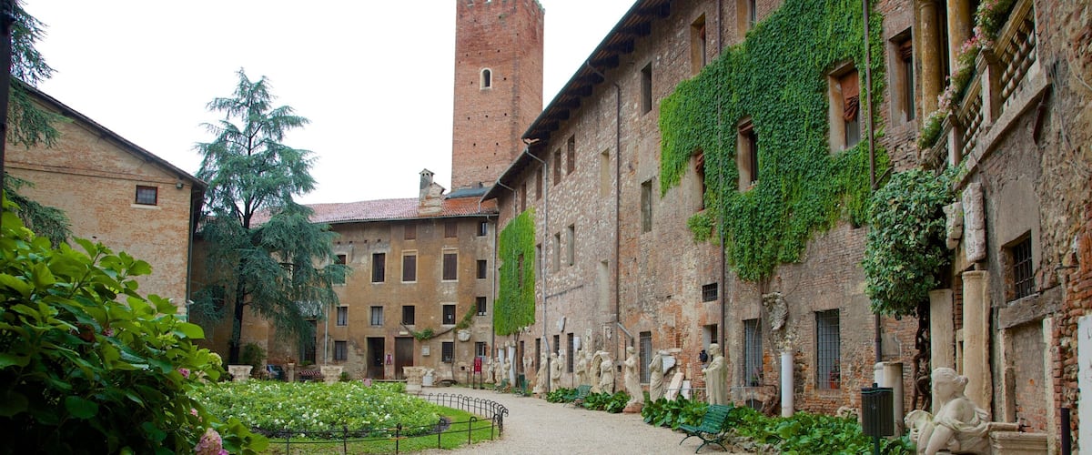 Vicenza ofreciendo elementos patrimoniales y imágenes de calles