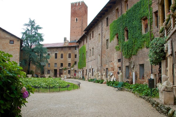 ヴィチェンツァ フィーチャー ストリート シーン と 遺跡・遺産