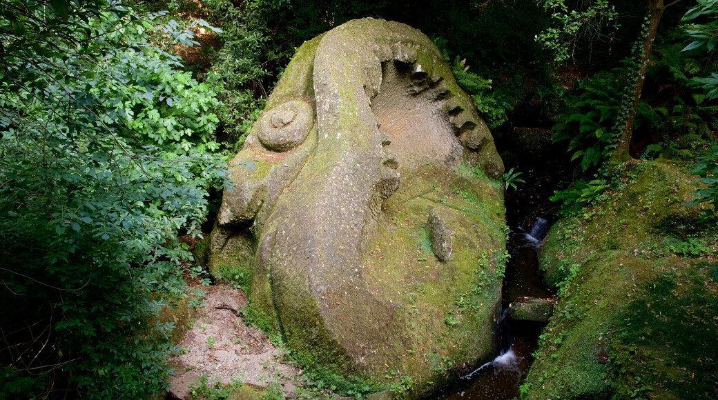 Parco dei Mostri showing rainforest and a statue or sculpture