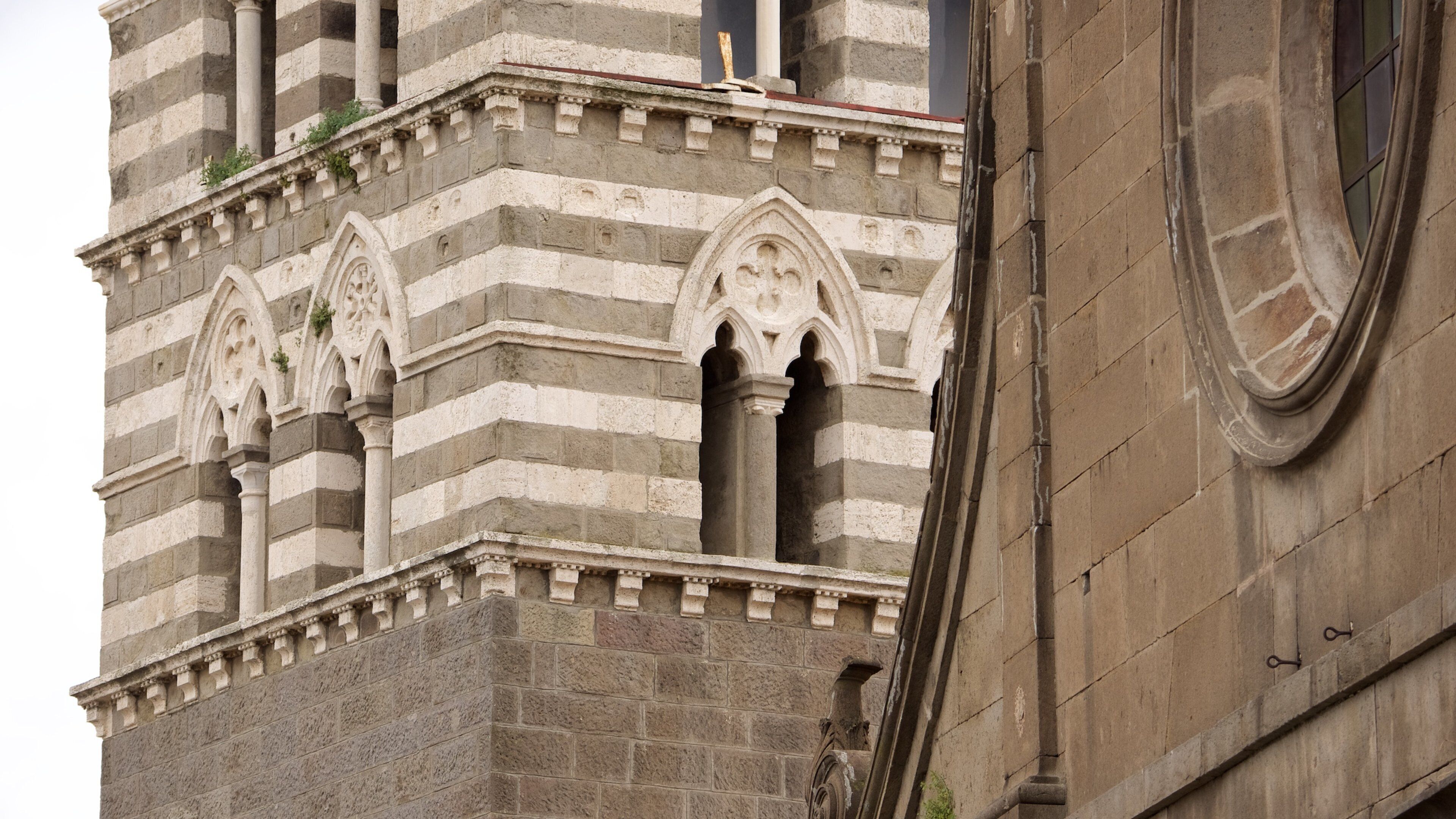 Viterbo che include architettura d\'epoca