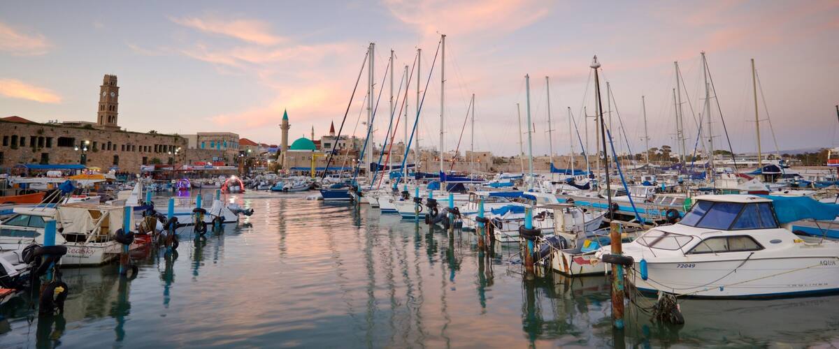 A marina with numerous boats docked, a prominent clock tower, and a mosque with a green dome in the background.