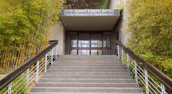 Tikotin Museum of Japanese Art showing signage