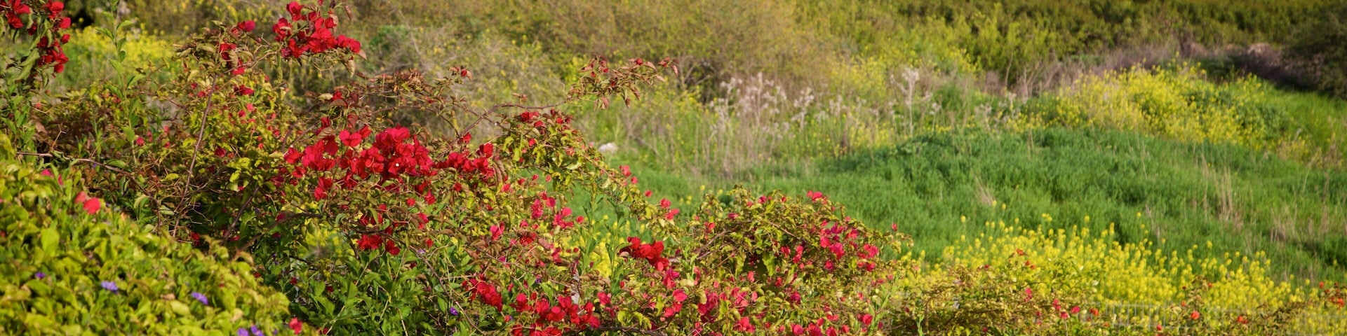 Mount of Beatitudes