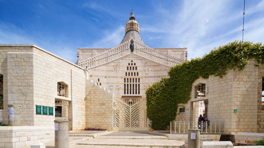 Un edificio histórico con una cúpula central, flanqueado por muros de piedra y un gran árbol.