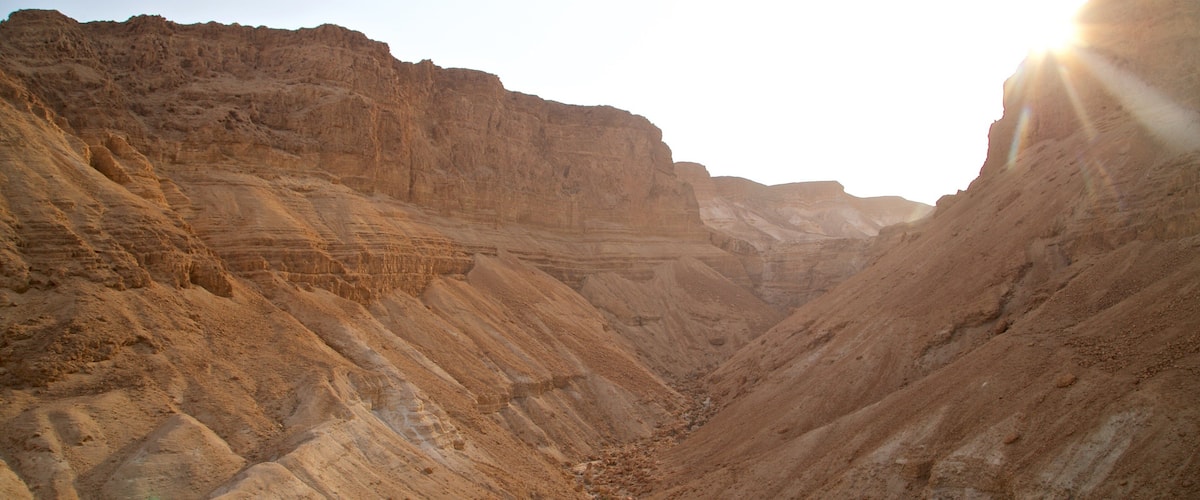 Masada National Park showing desert views, a gorge or canyon and landscape views