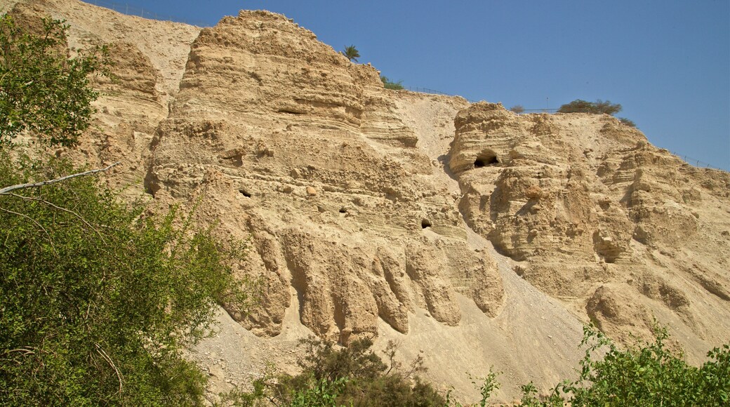 Ein Gedi National Park which includes a gorge or canyon and desert views