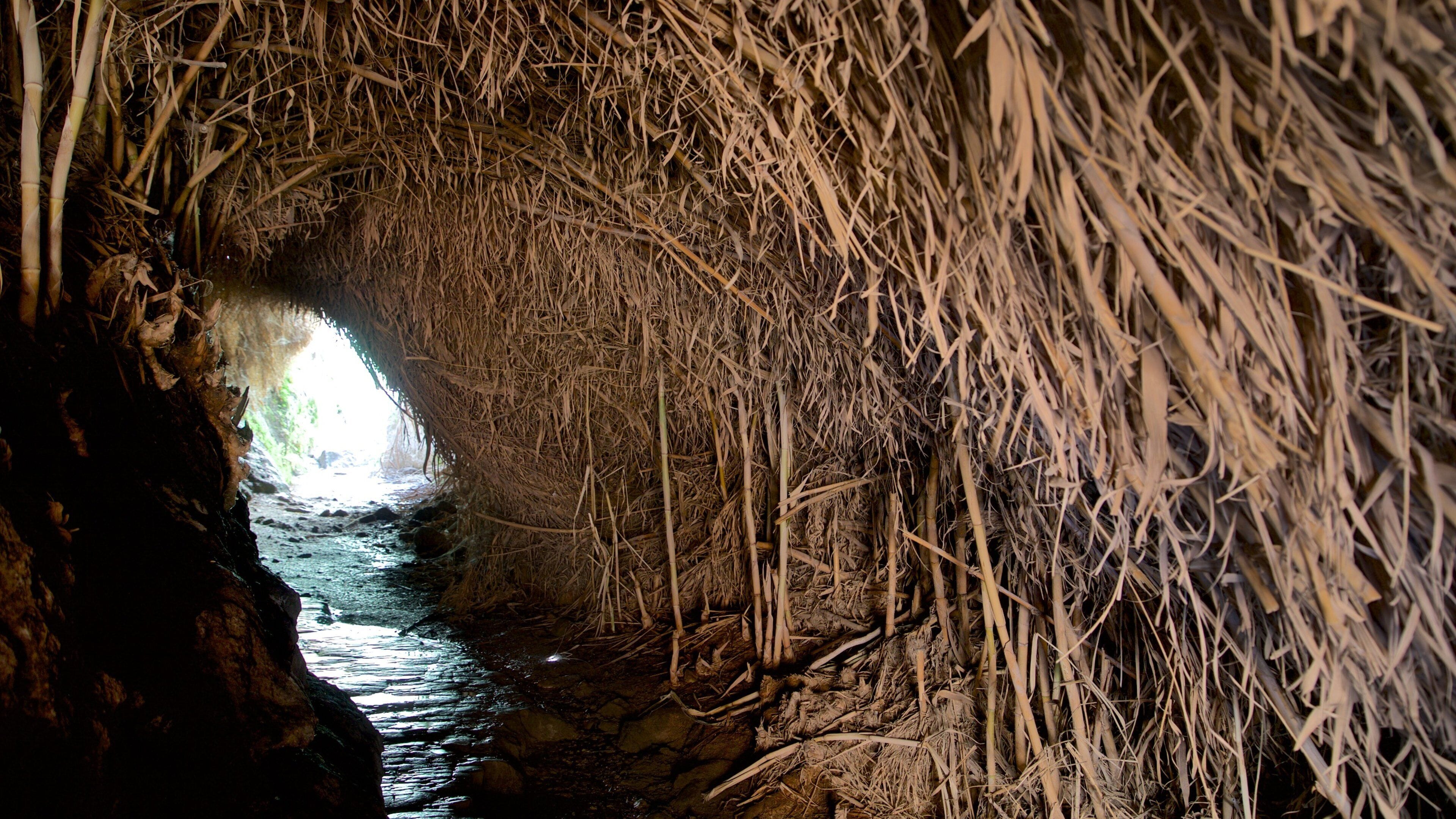Ein Gedi Nature Reserve showing caves and a river or creek