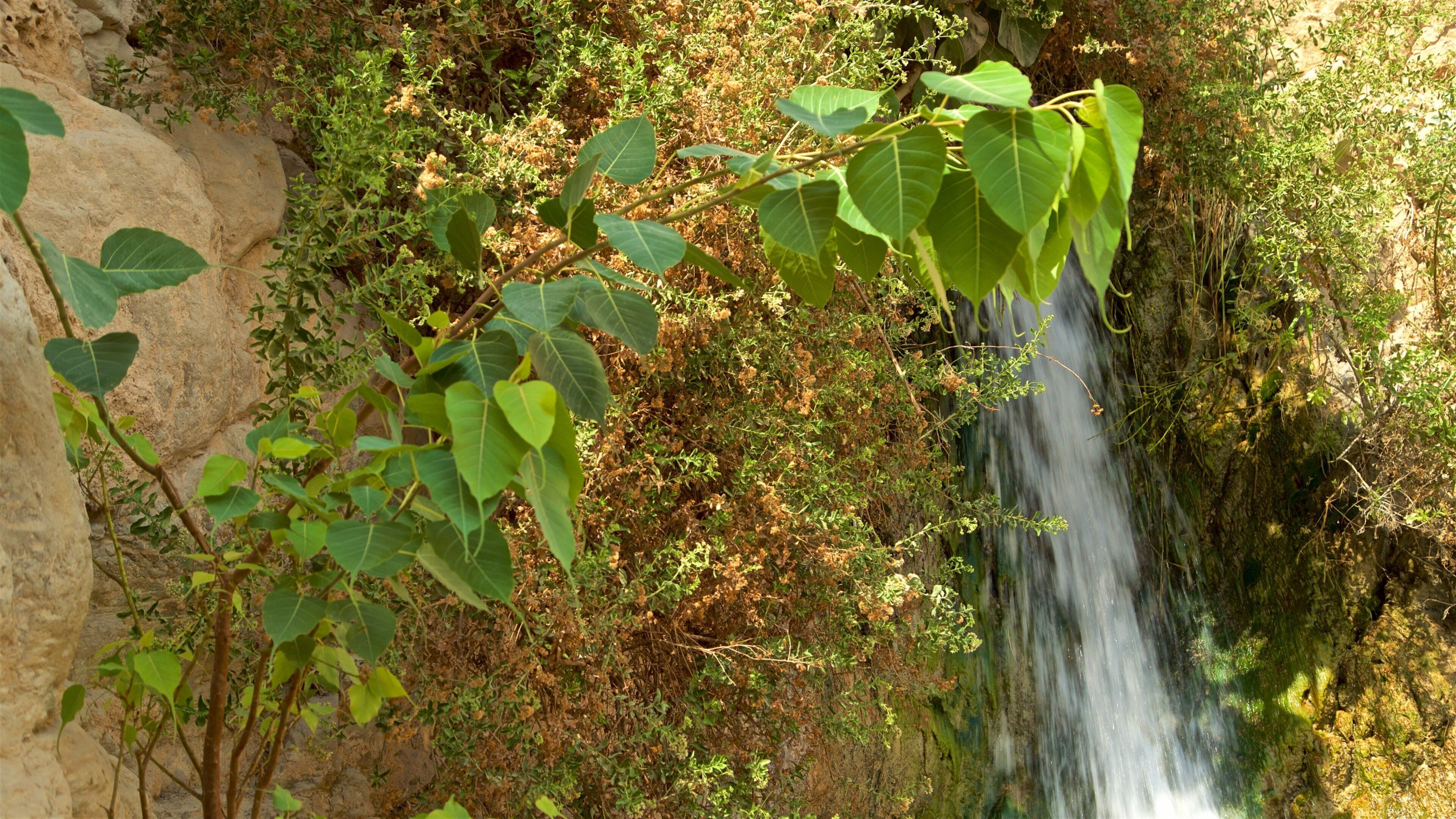 Ein Gedi National Park showing a waterfall