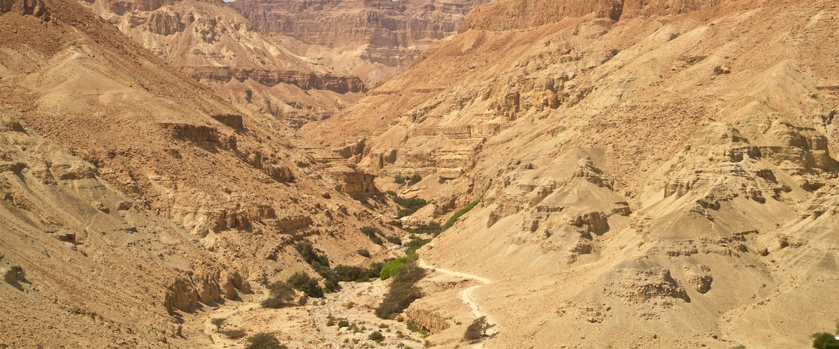 Ein Gedi National Park featuring landscape views, desert views and a gorge or canyon