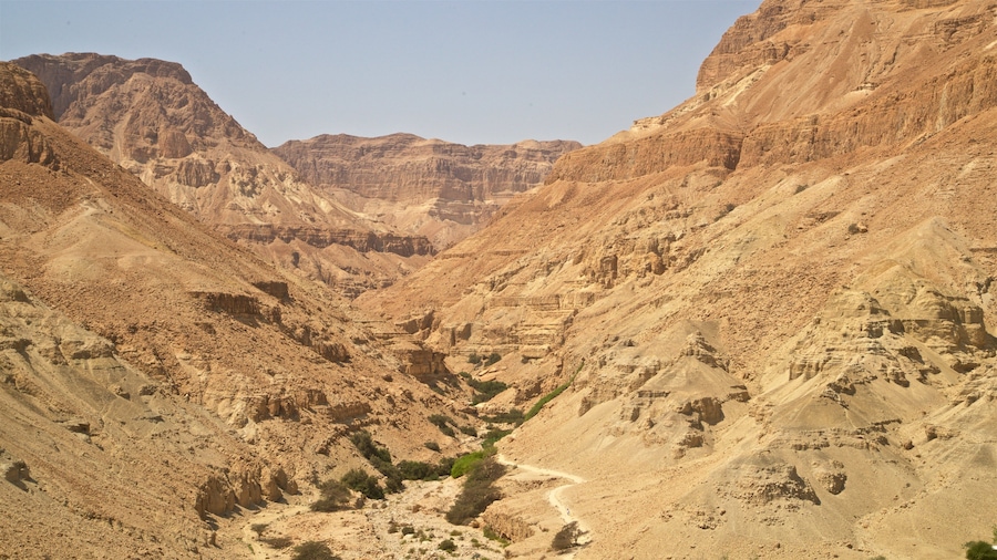 Ein Gedi National Park featuring landscape views, desert views and a gorge or canyon
