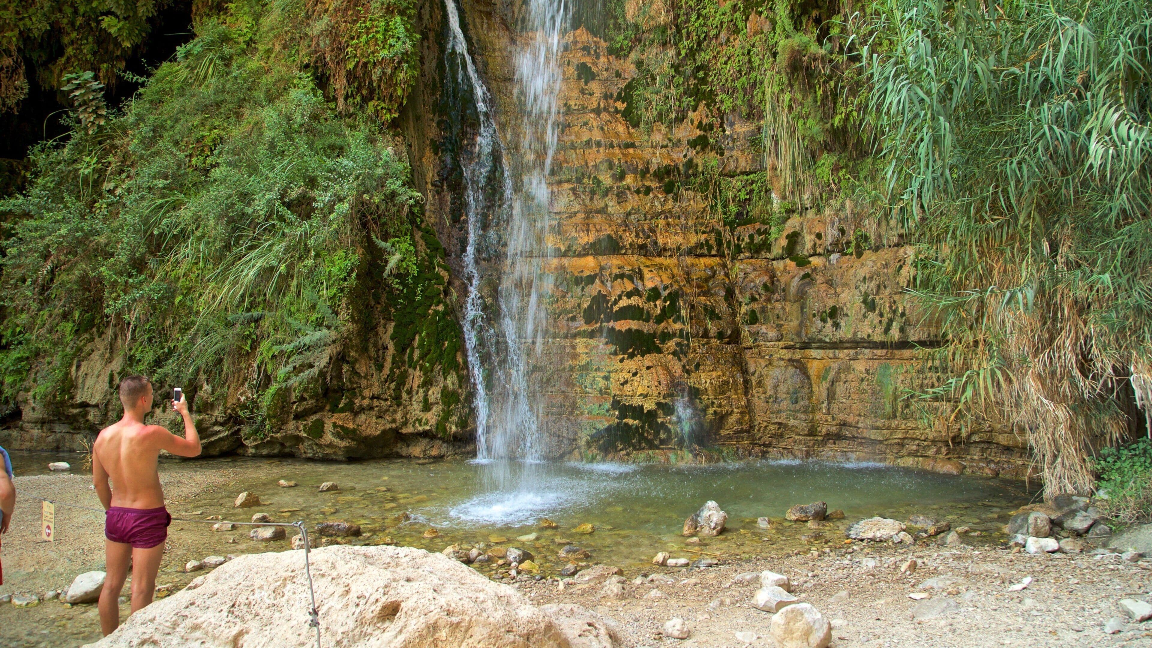 Ein Gedi National Park which includes a cascade as well as an individual male