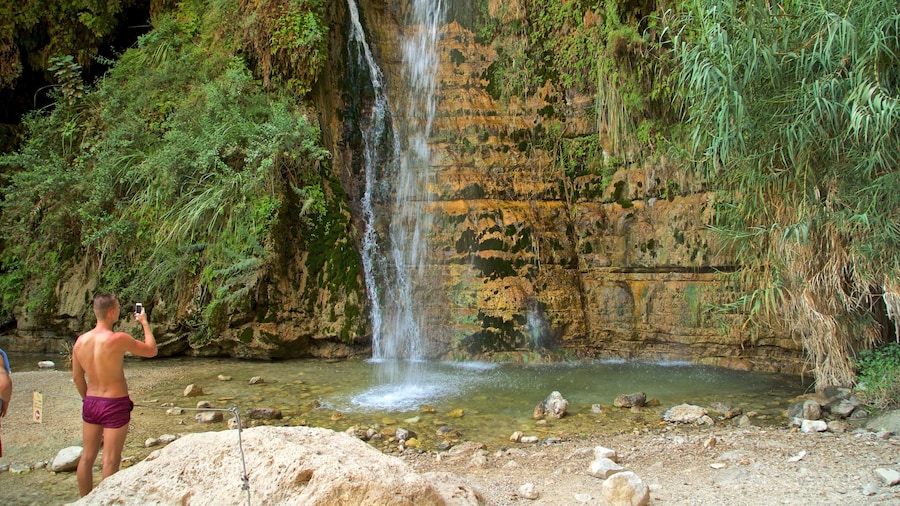 Parque Nacional de Ein Gedi que incluye una catarata y también un hombre