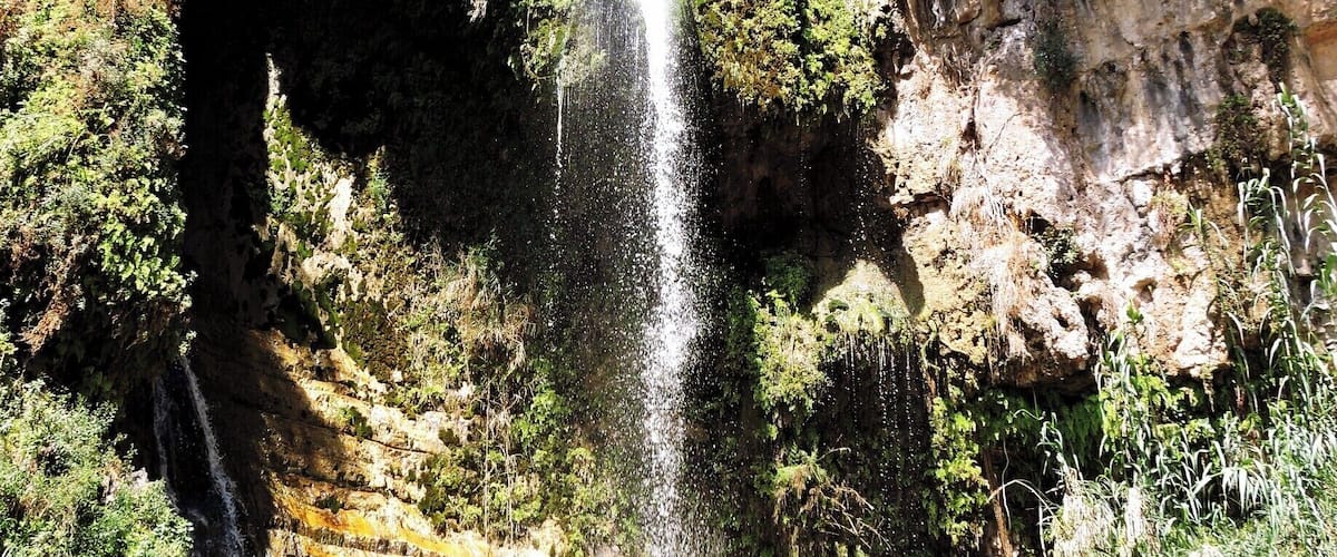 Oasis at Ein Gedi
