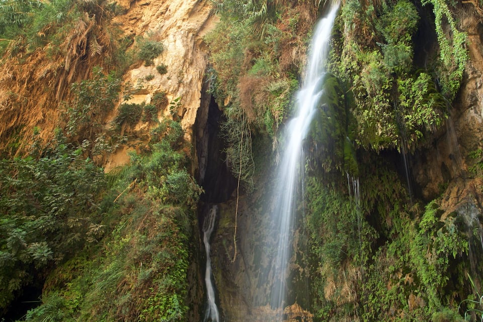 Una cascada que es precipita per un penya-segada rocosa envoltada de vegetació exuberant.