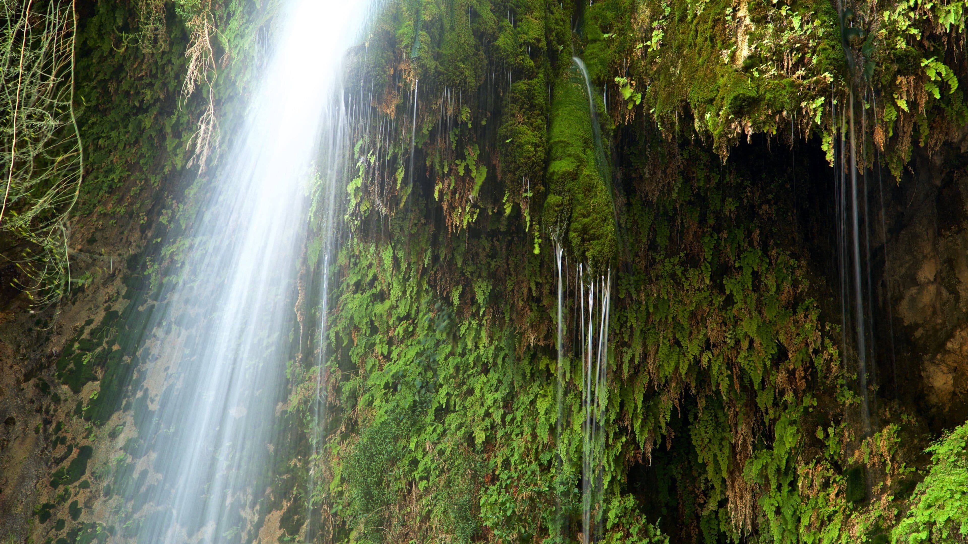 Una cascada que se precipita por un risco cubierto de musgo.