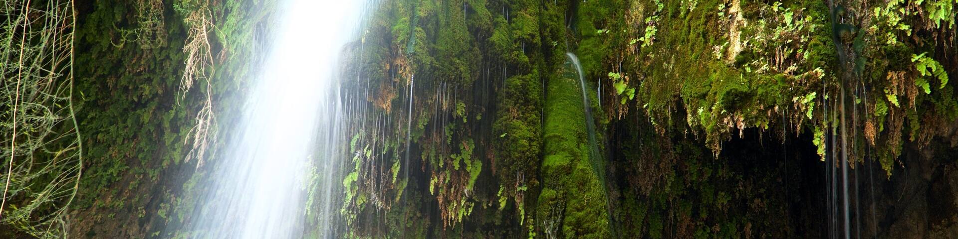 Une cascade d’eau se déversant le long d’une falaise recouverte de mousse.