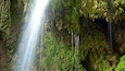 Une cascade d’eau se déversant le long d’une falaise recouverte de mousse.