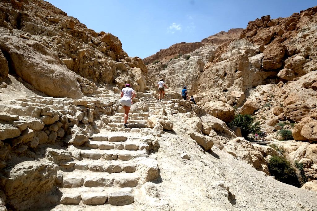 En Gedi is the biggest oasis in Israel. It has springs and waterfalls, and flowing brooks at the foot of the cliffs, home to ibexes and rock hyraxes.
The Reserve, just aside the Dead Sea in the Judean Desert, not too far from Jerusalem, is one of Israel’s premier hiking spots, featuring spectacular beauty, varied landscapes, and botanical gardens. There’s no doubt that Ein Gedi Nature Reserve is one of the most beautiful places in Israel.