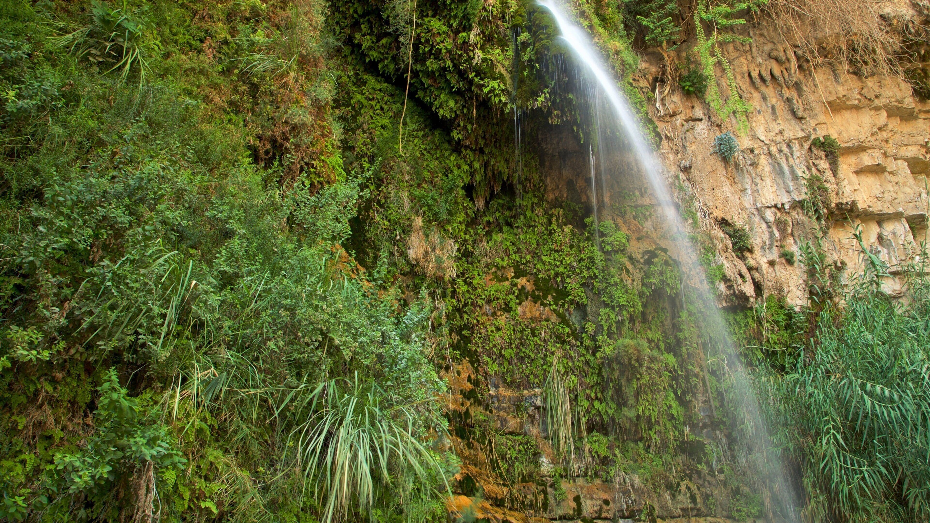 A waterfall cascading down a rocky cliff surrounded by lush greenery.