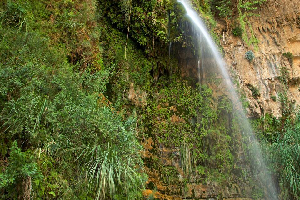 Una cascada que es precipita per un penya-segada rocosa envoltada de vegetació exuberant.
