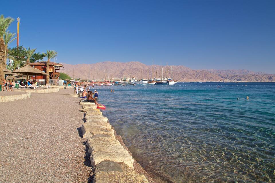 A beach with clear water, palm trees, and boats in the background.