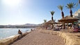 A pebbled beach with palm trees and beach umbrellas.