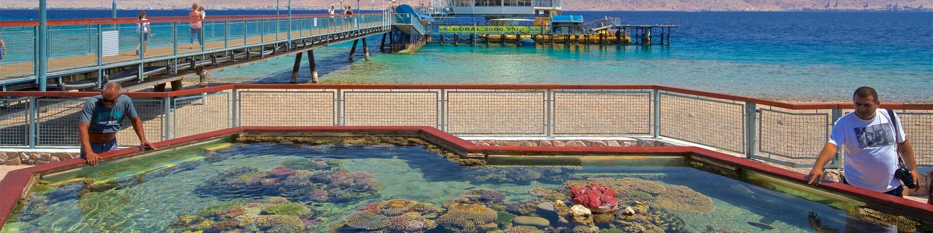 A pier with a lighthouse, clear blue water, and a coral reef.