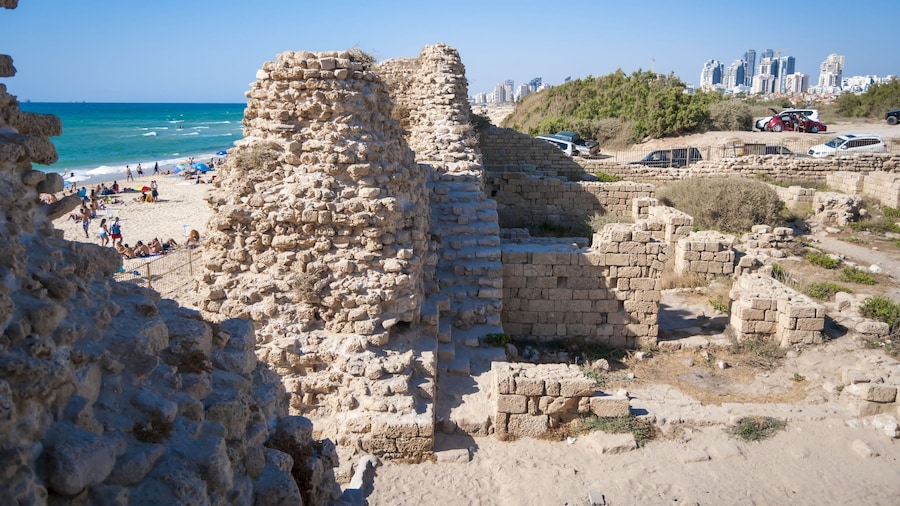 Citadel Ashdod