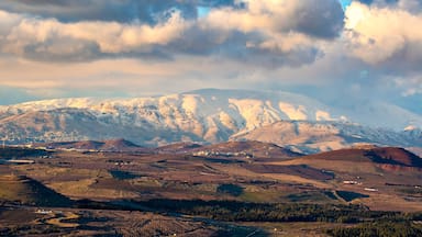 Majdal al-Shams