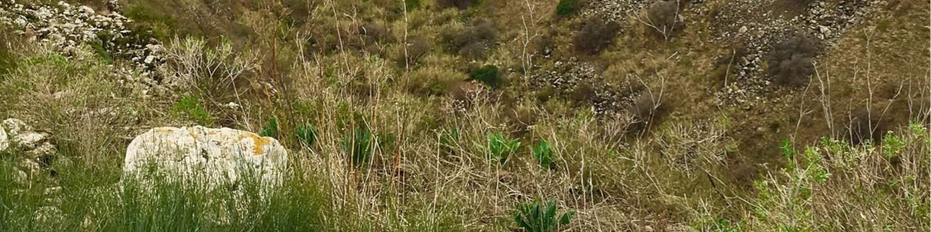 Gamla is a pretty grueling hike, but well worth the #green views!