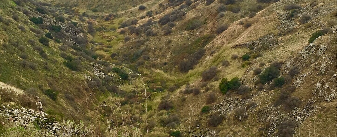 Gamla is a pretty grueling hike, but well worth the #green views!