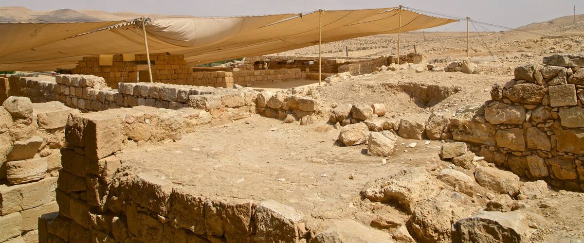 Ancient ruins with stone walls and a large canopy.