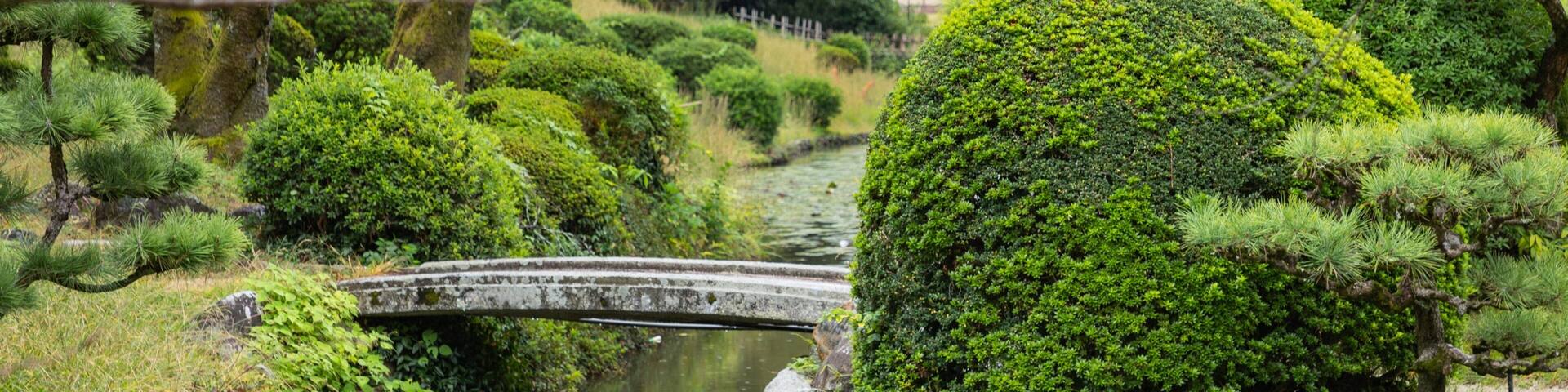 Dogo Park featuring a bridge, a pond and a park
