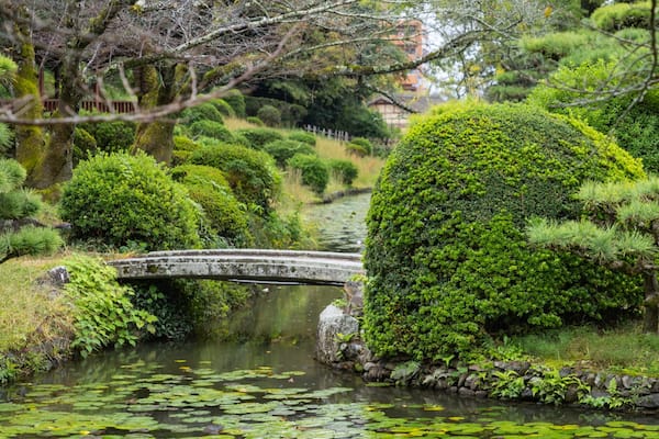 Dogo Park featuring a bridge, a pond and a park