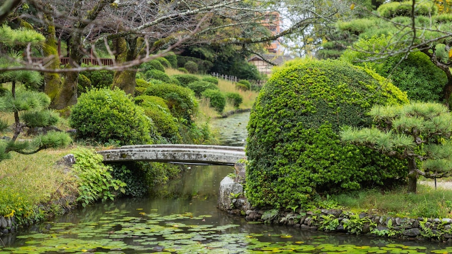 Dogo Park featuring a bridge, a pond and a park