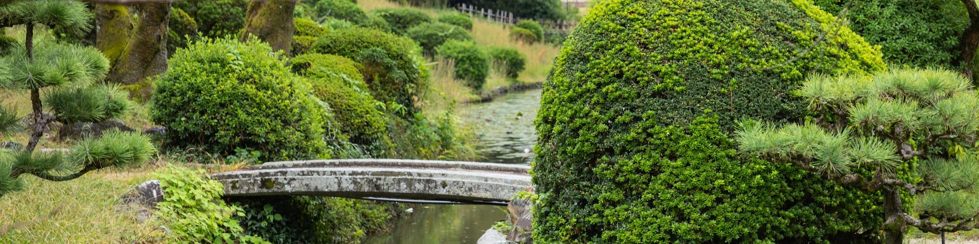 Dogo Park featuring a bridge, a pond and a park