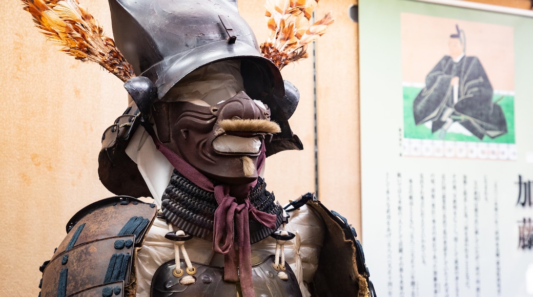 Matsuyama Castle which includes heritage elements and interior views