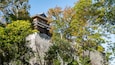 A traditional Japanese building with wooden elements and a stone wall, surrounded by lush green trees.