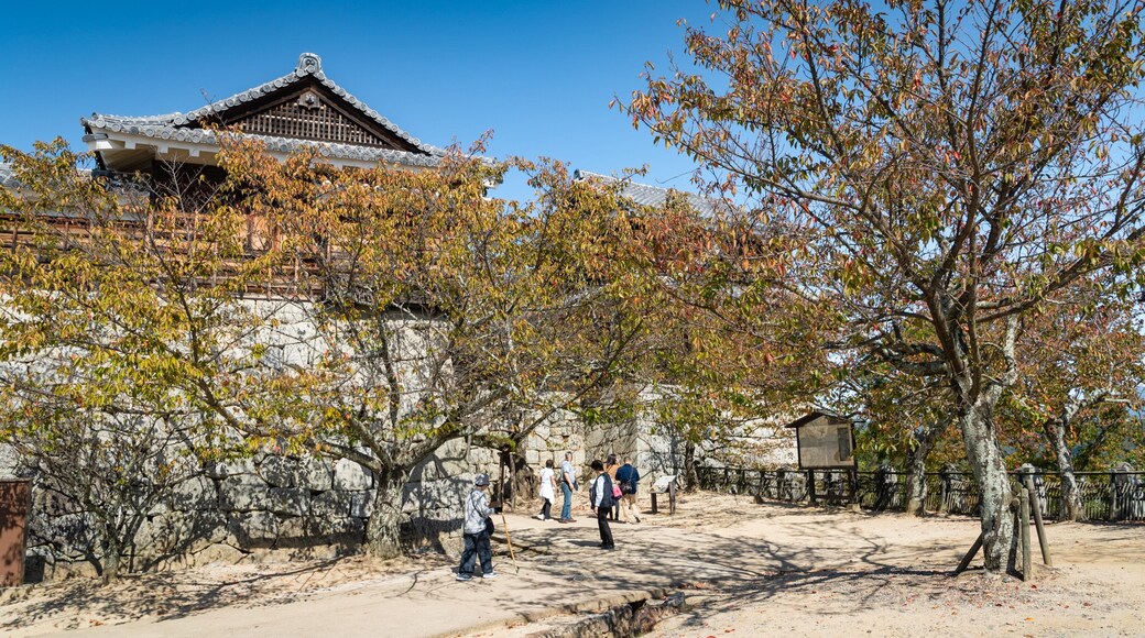 Matsuyama Castle