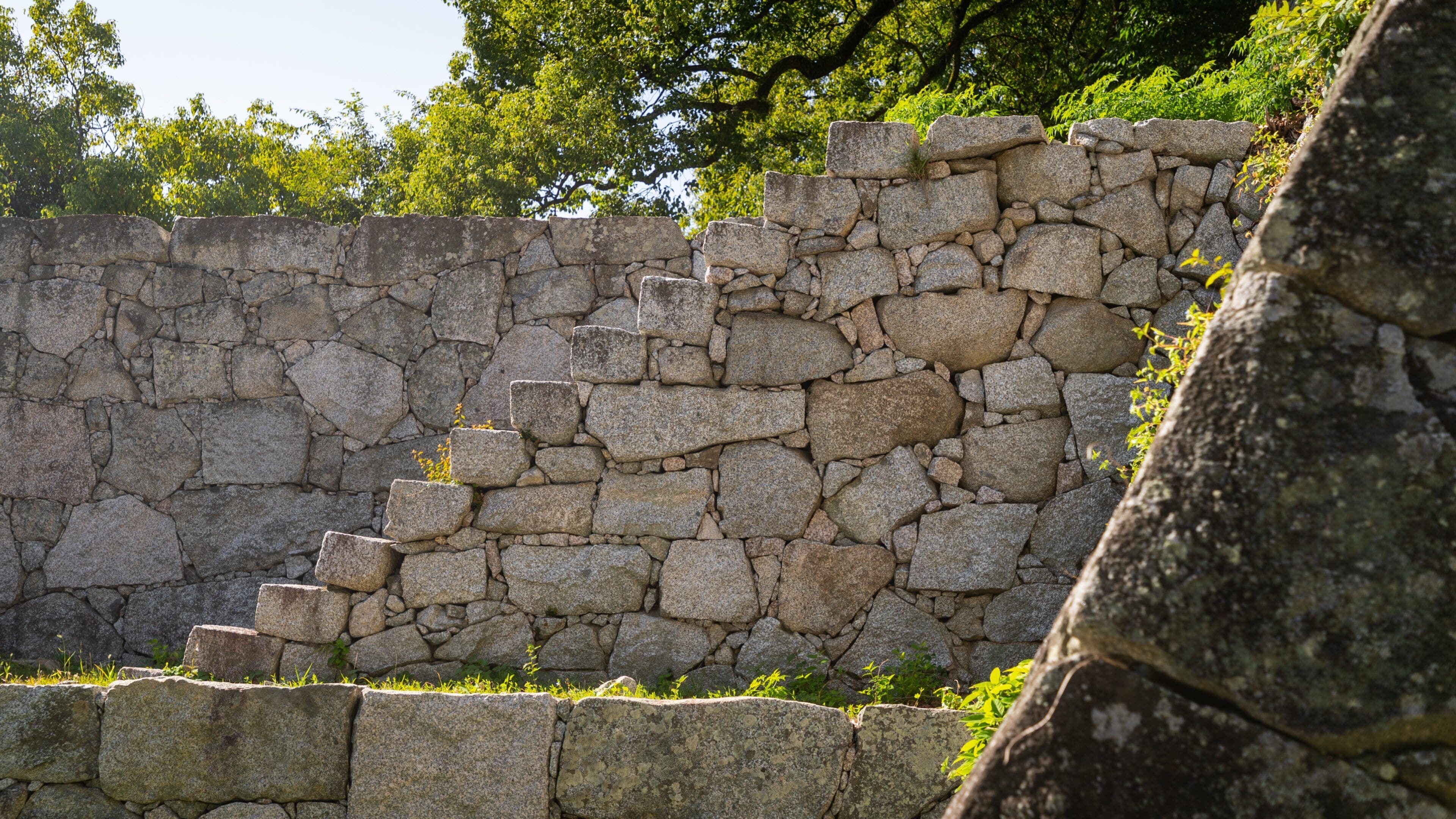 Ninomaru Historical Garden