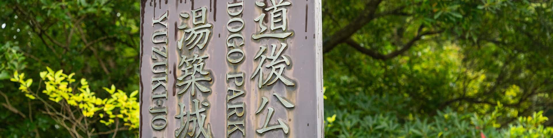 A sign with Japanese characters, surrounded by lush greenery.