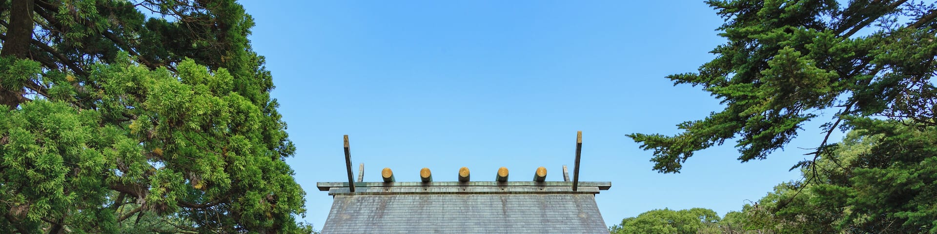 Miyazaki_MiyazakiShrine_6103722_03