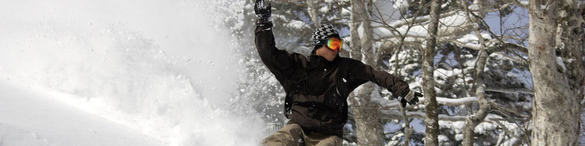 Una persona practica snowboard por una pendiente nevada, con árboles al fondo.